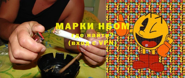 шишки Беломорск