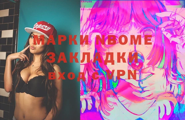 молекула духа Богданович
