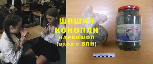 молекула духа Богданович