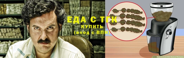 шишки Беломорск