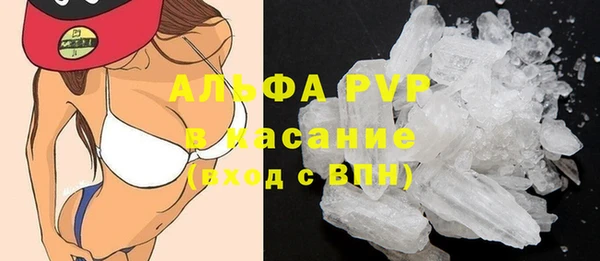 PSILOCYBIN Богородицк