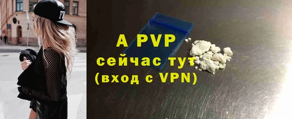 молекула духа Богданович