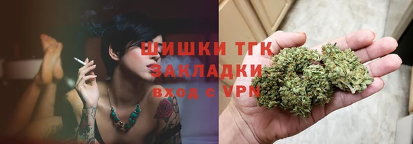 молекула духа Богданович