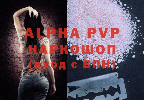 молекула духа Богданович
