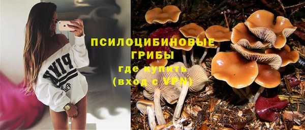 гашишное масло Богородск