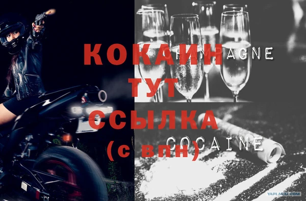 PSILOCYBIN Богородицк