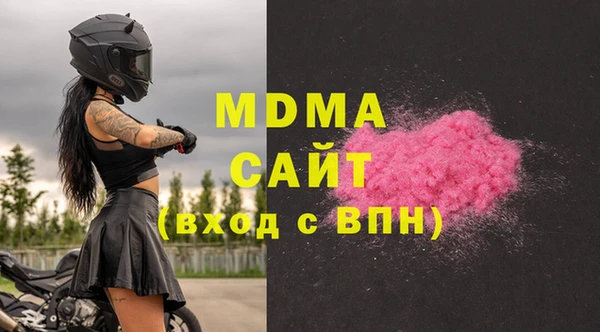 молекула духа Богданович