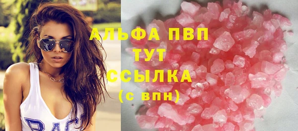 молекула духа Богданович