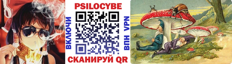 купить наркотик  Катав-Ивановск  Псилоцибиновые грибы Cubensis 